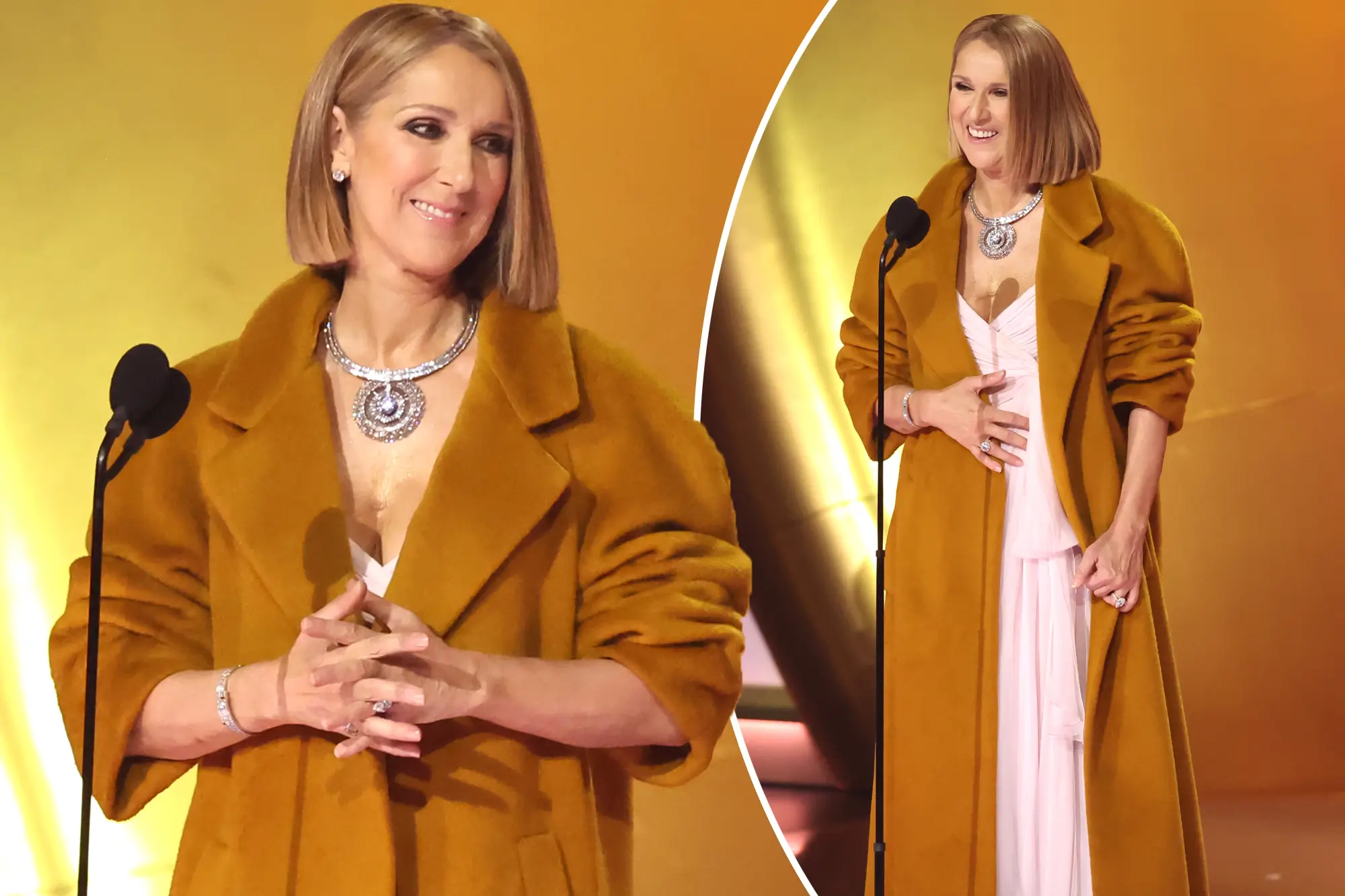 Celine Dion Special Surprise at the Grammys